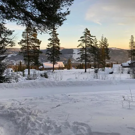 Med Panoramaudsigt Over *